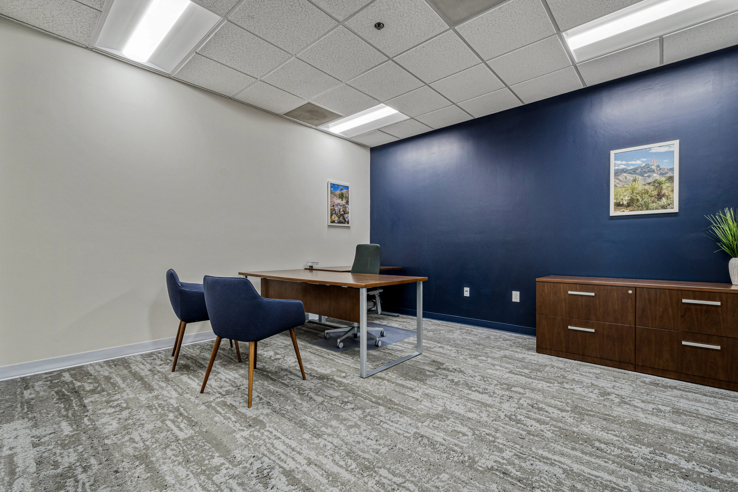 Interior Private Office