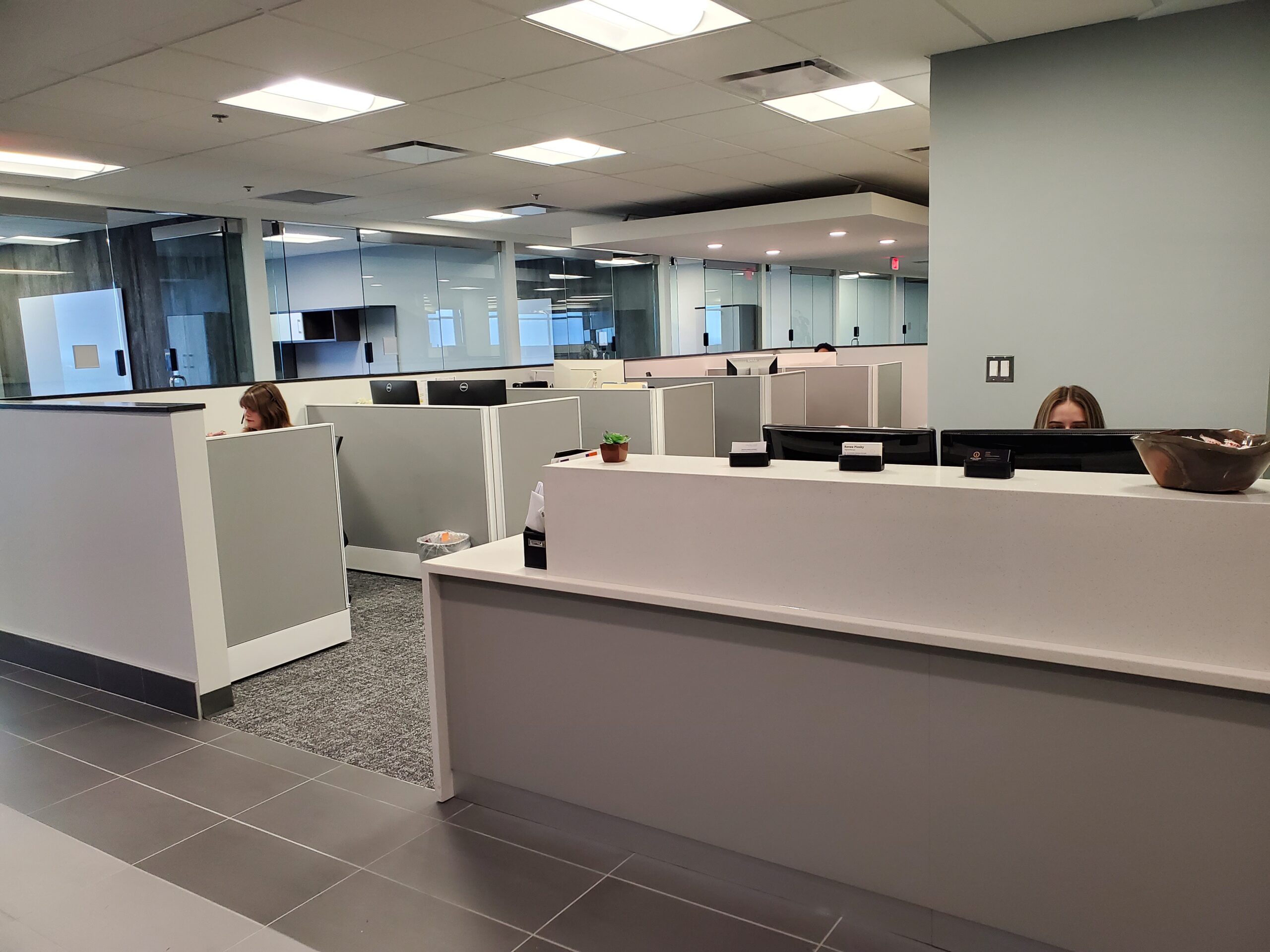 Intelligent Assistant Professional