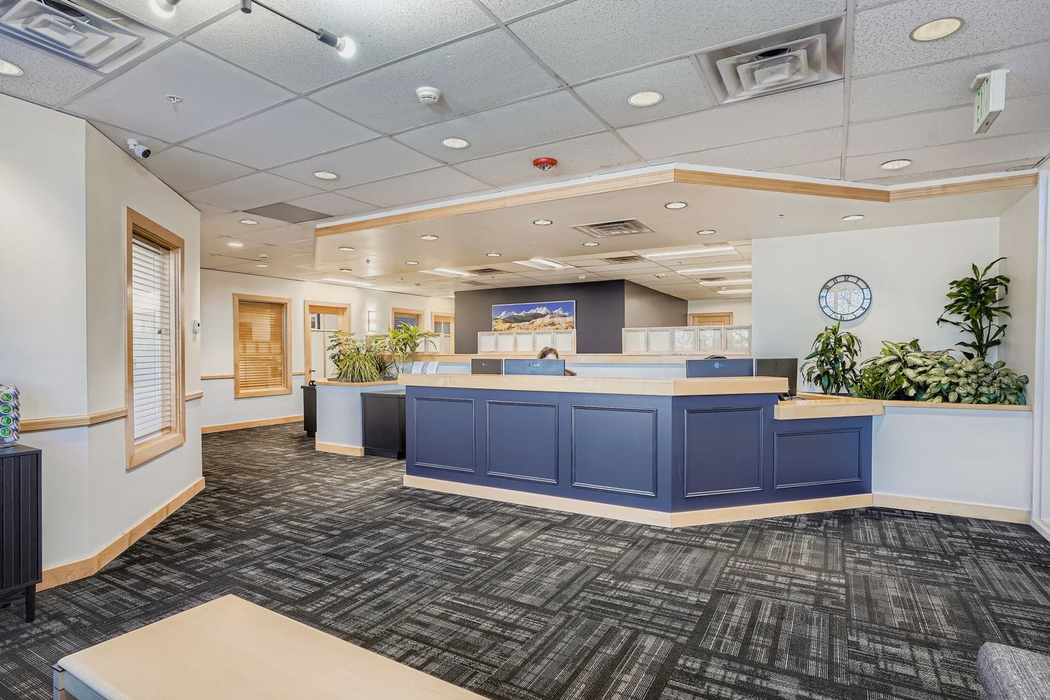 Modern business center reception area with office desks and plants, ideal for professional workspace solutions.