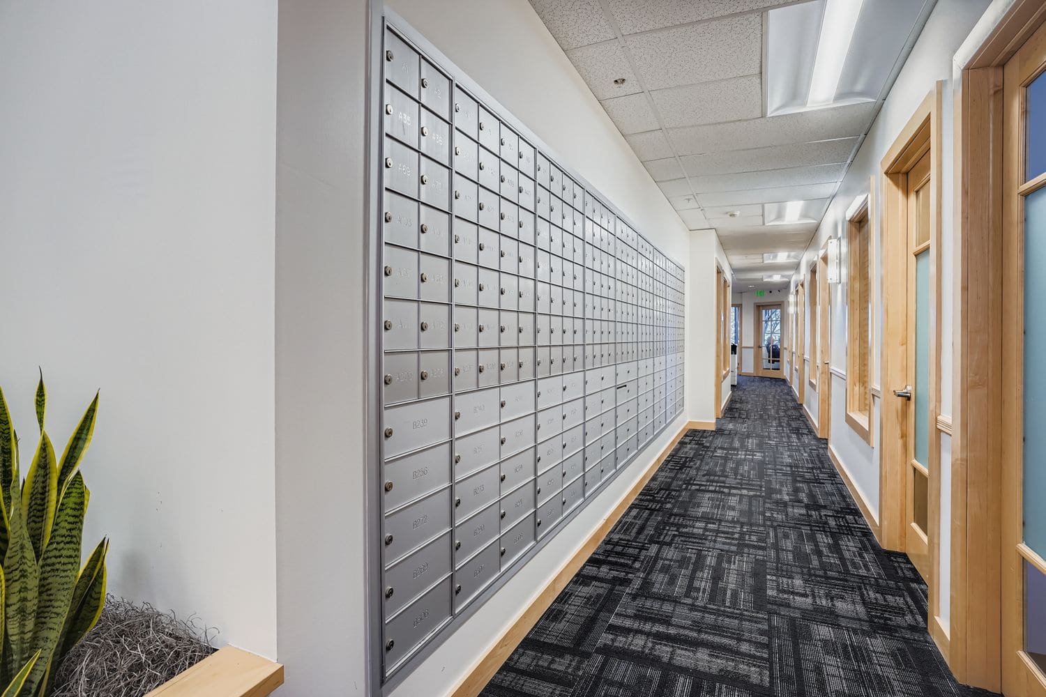 Secure office building mailboxes for business communication and package delivery.