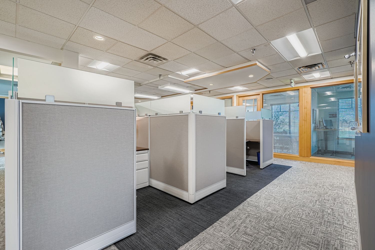 Modern coworking office space with individual private cubicles for flexible work in a professional environment.
