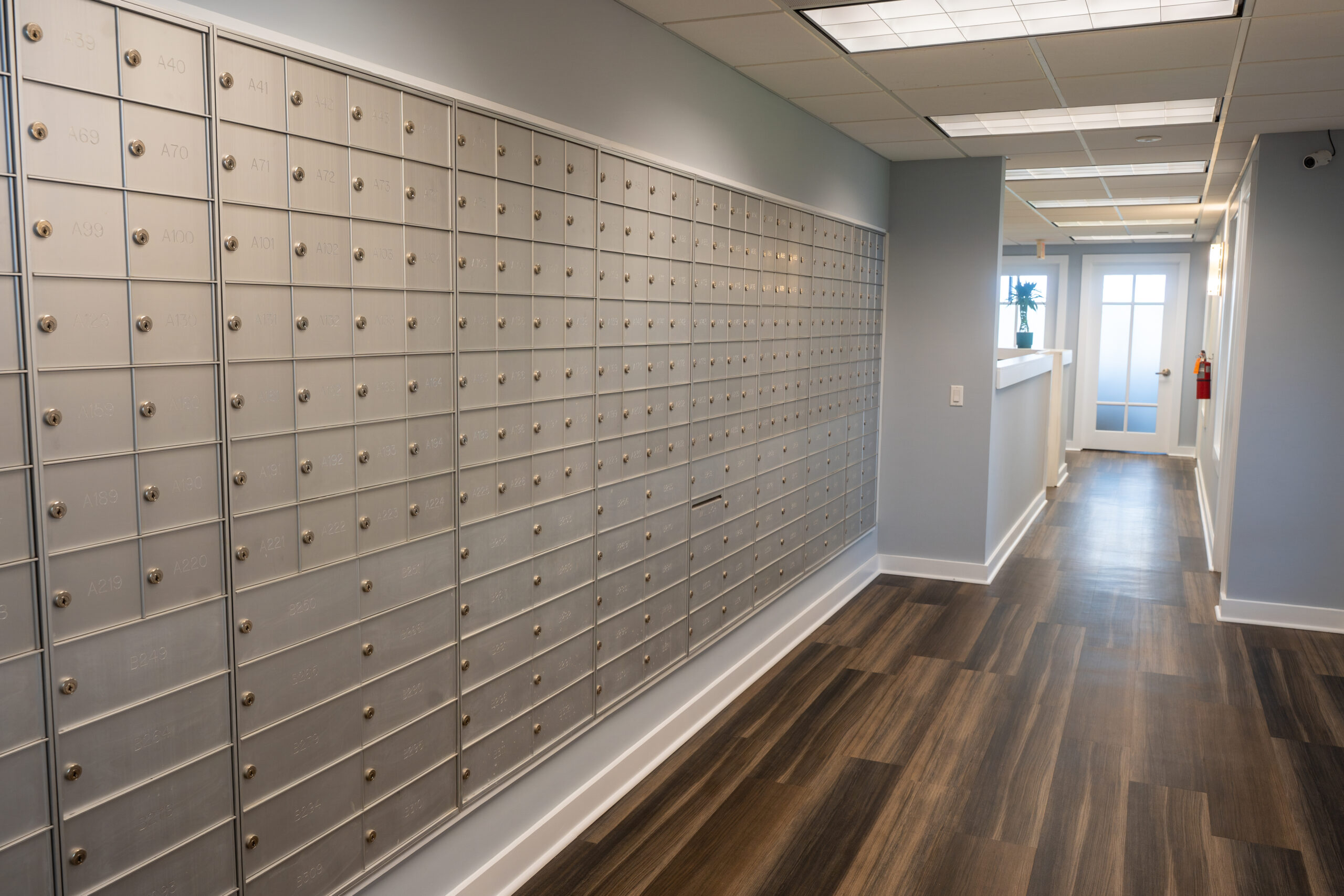 Professional Business Address
