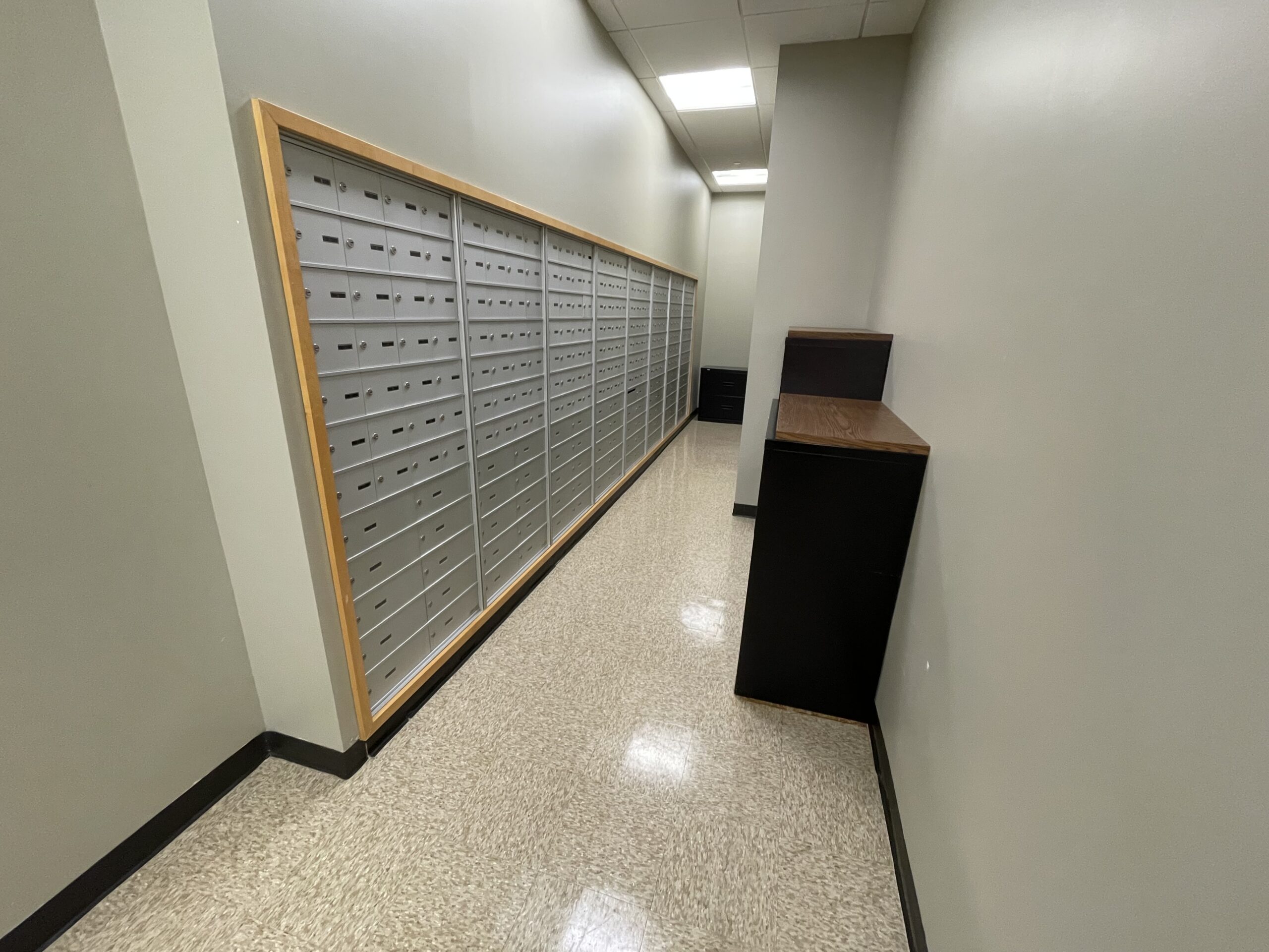 Professional Business Address