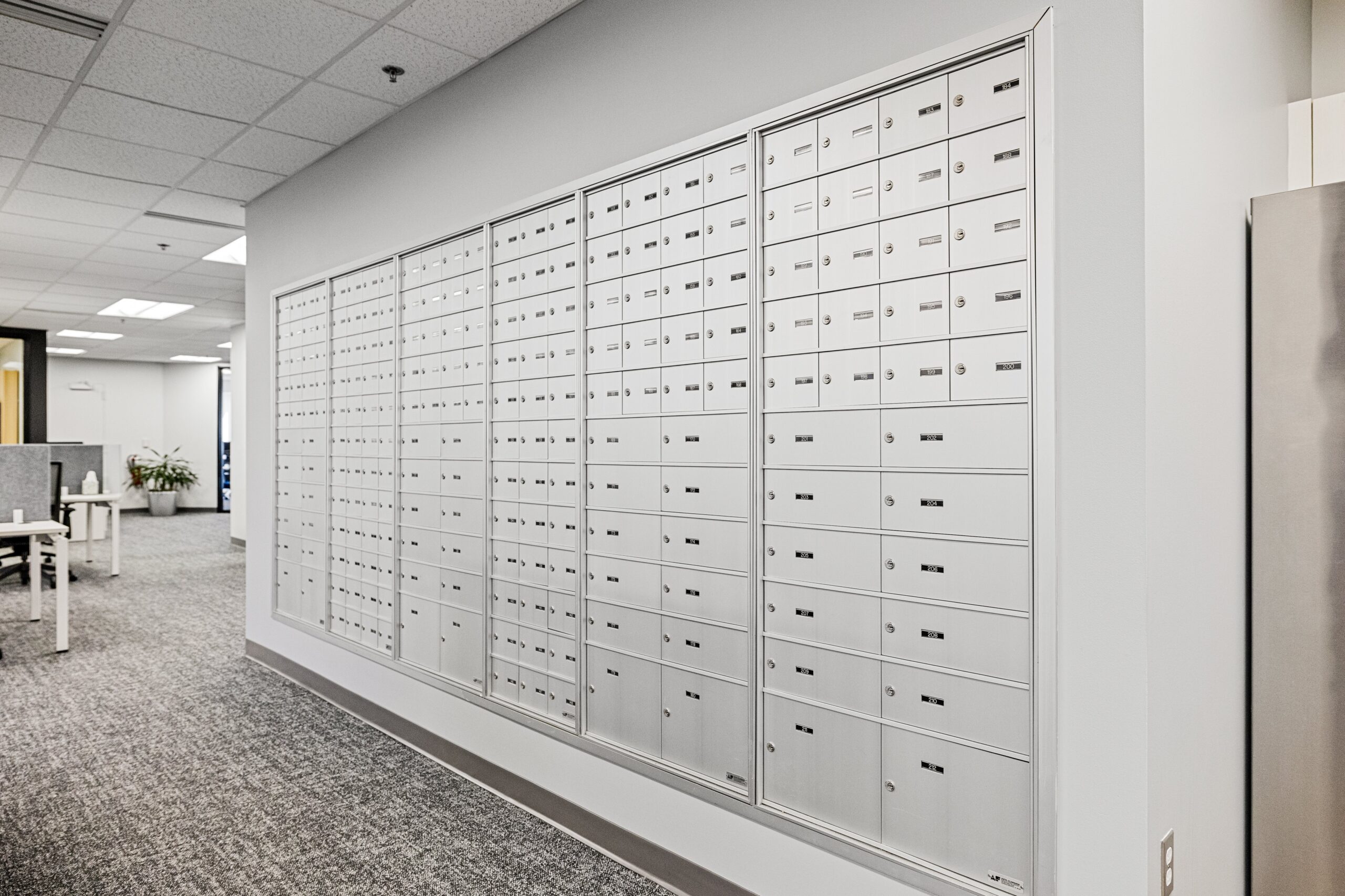 Professional Business Address