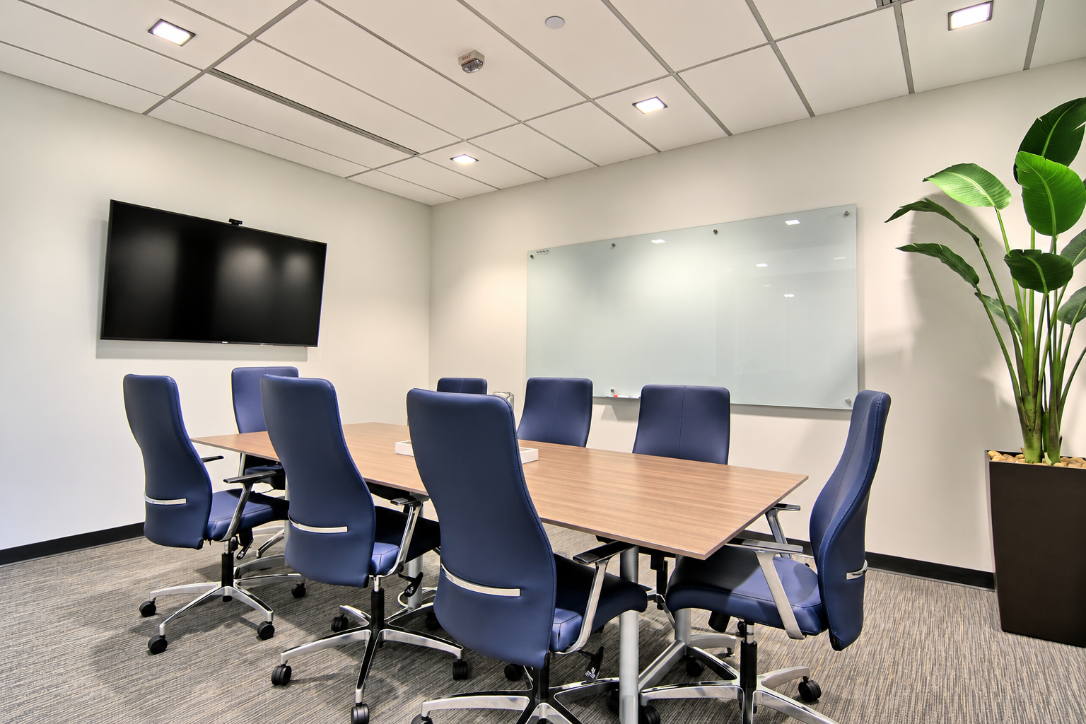 Large Conference Room