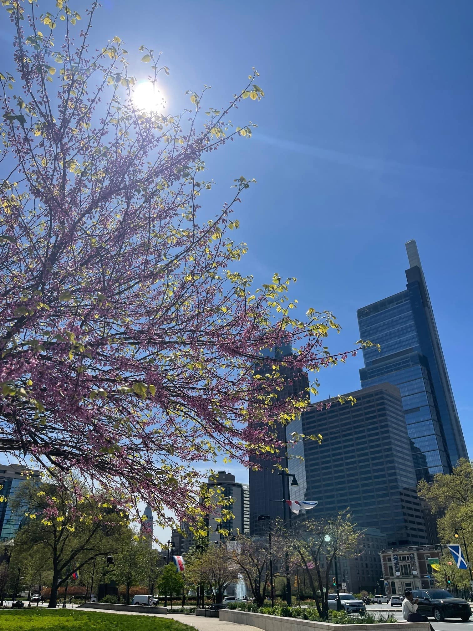 Downtown Philadelphia skyline with blooming trees and clear blue sky.